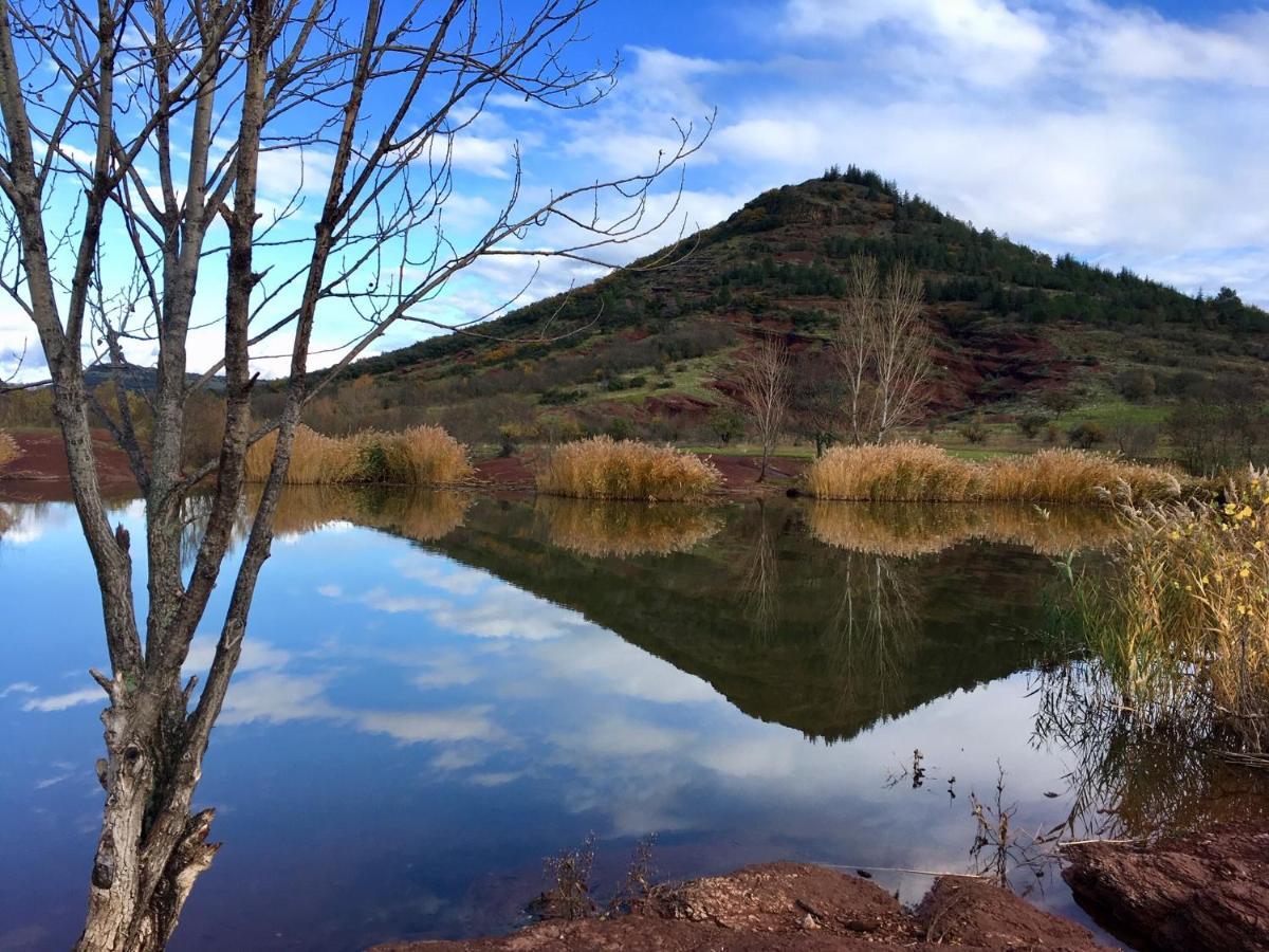 Proche Lac Du Salagou, Chambre Agreable Avec Salle D'Eau Et Wc Prive Lacoste  Εξωτερικό φωτογραφία